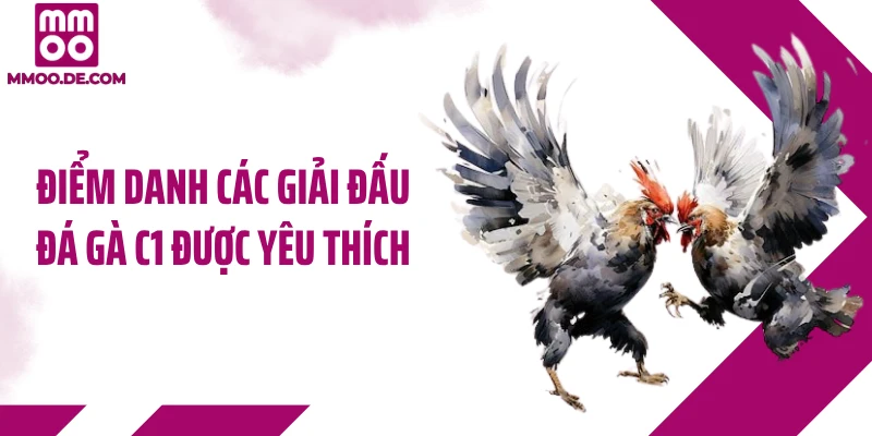 Điểm danh các giải đấu đá gà C1 được yêu thích