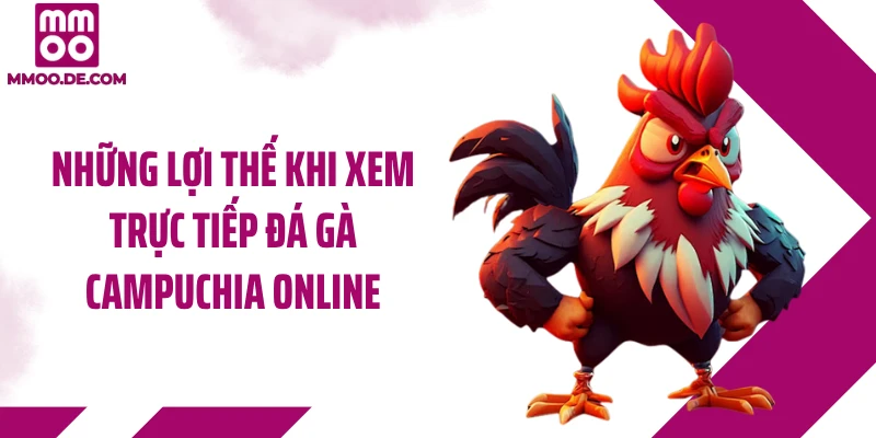 Những lợi thế khi xem trực tiếp đá gà Campuchia online
